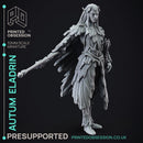 Autum Eladrin - High Fay - PRESUPPORTED - 32mm Scale