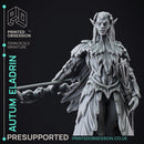 Autum Eladrin - High Fay - PRESUPPORTED - 32mm Scale