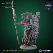 Elderthorn Guards - Only-Games