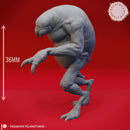 Ettercap Cluster - Tabletop Miniature (Pre-Supported)