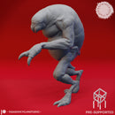 Stalking Ettercap - Tabletop Miniature (Pre-Supported)