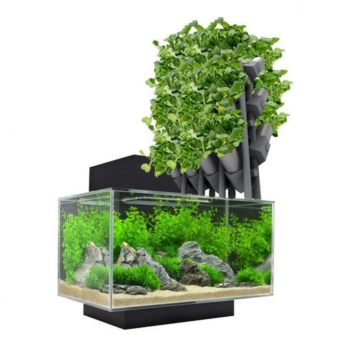 Modular Aquaponics Setup - Only-Games