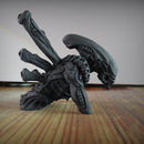 Alien - Xenomorph