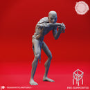 Hungry Ghoul - Tabletop Miniature (Pre-Supported)