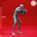 Hungry Ghoul - Tabletop Miniature (Pre-Supported)