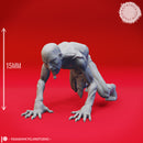 Ghoul Mob - Tabletop Miniatures (Pre-Supported)