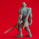 Hobgoblin Swordsmen - Book of Beasts - Tabletop Miniatures (Pre-Supported)