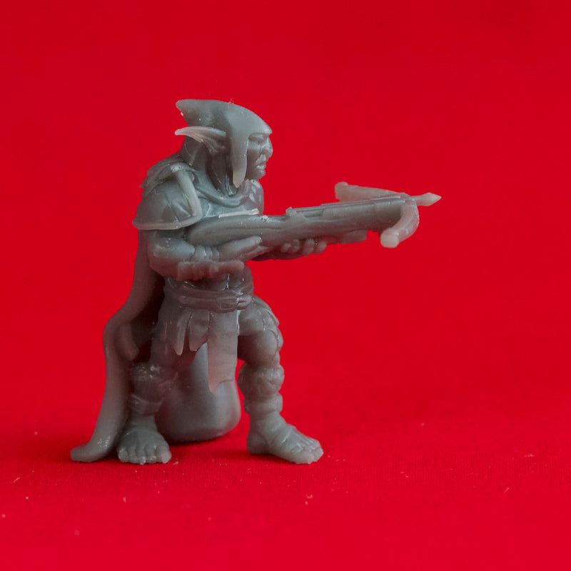 Goblin Warband - Book of Beasts - Tabletop Miniatures (Pre-Supported)