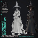 Grandmar Weathervein - Black Witch -  PRESUPPORTED - Illustrated and Stats - 32mm scale
