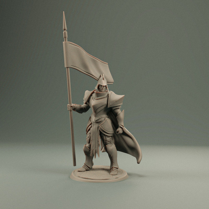 Human Lancer flag - Only-Games