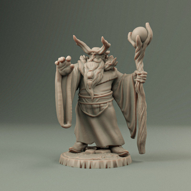 Dwarft druid - Only-Games