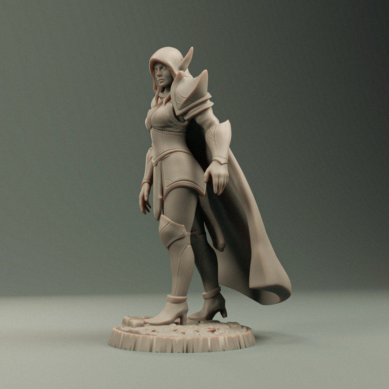 Dark elf heroe - Only-Games