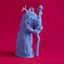 Annis Hag - Tabletop Miniature (Pre-Supported)