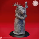 Annis Hag - Tabletop Miniature