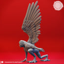 Harpy Mob - Tabletop Miniature (Pre-Supported)
