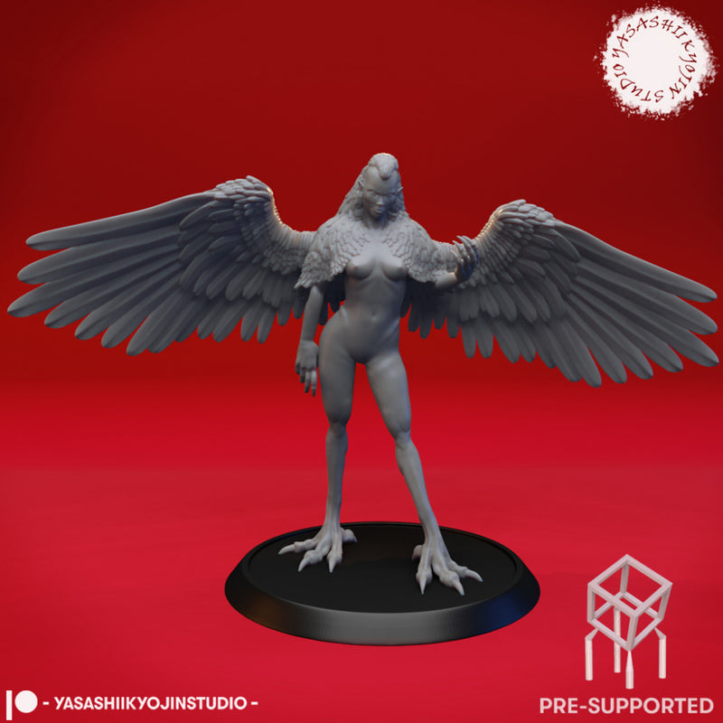Harpy - Tabletop MIniature (Pre-Supported)