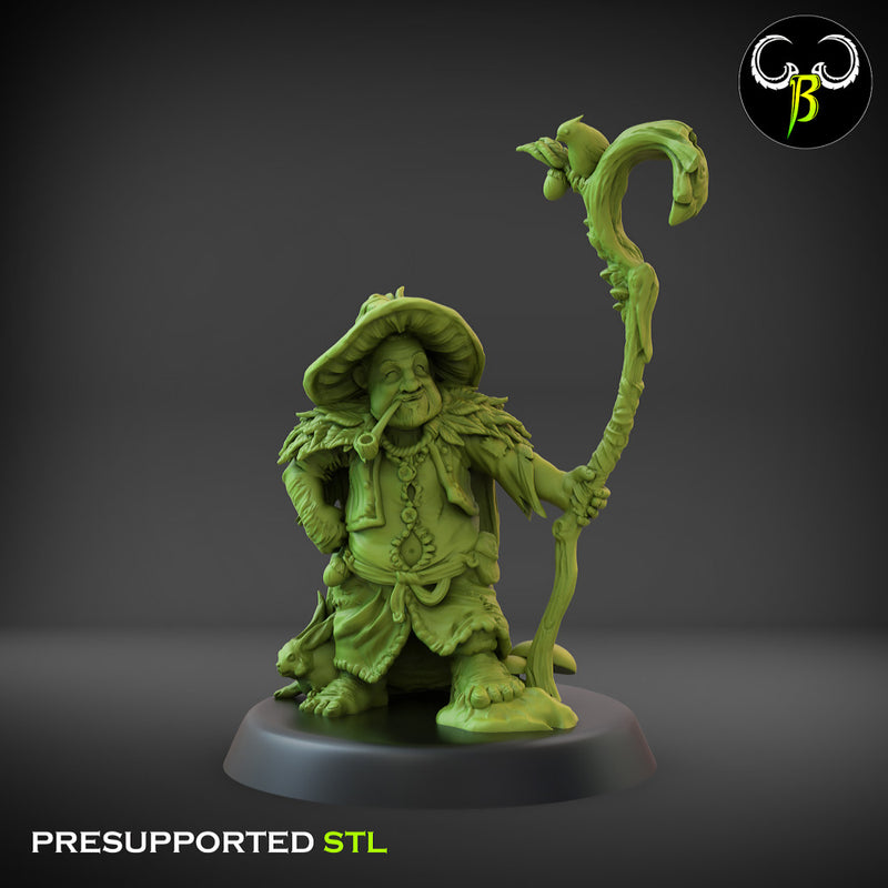 Hedge Hermit
