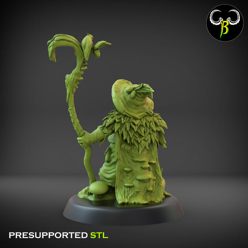 Hedge Hermit