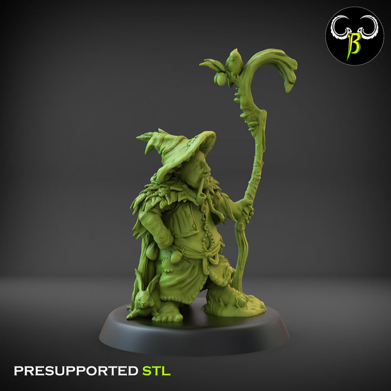 Hedge Hermit