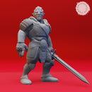 Hobgoblin Warband - Book of Beasts - Tabletop Miniatures (Pre-Supported)