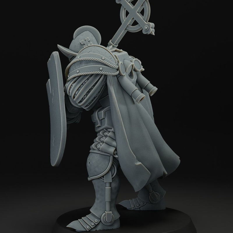 heavy infantry with mace and shield