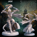 Jade Rogue  Assassin  rogue Dual Blade Assassin - 32mm - Heroic scale