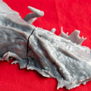 Kraken - Tabletop Miniature (Pre-Supported)