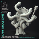 Lady wholesome - Eye Terror Maid -  PRESUPPORTED - Illustrated and Stats - 32mm scale