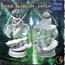 Dark elf  Assassin Layla - Dark elf Assassin Dual blade Assassin - 75mm + 35mm Scale