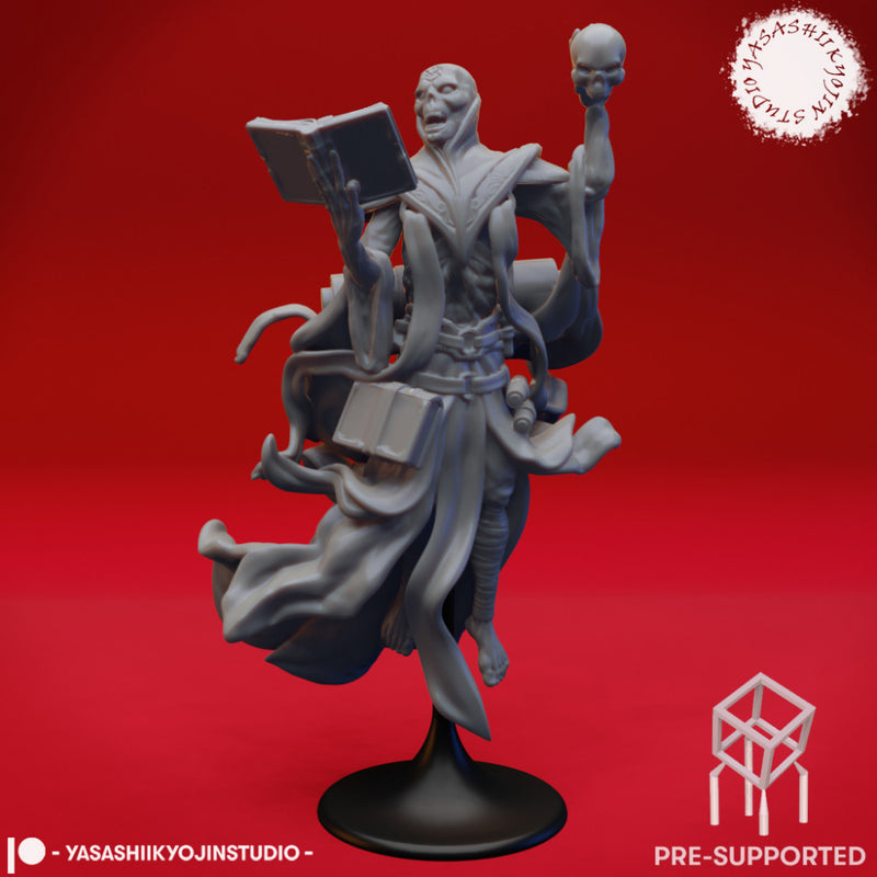 Lich - Tabletop Miniature (Pre-Supported)