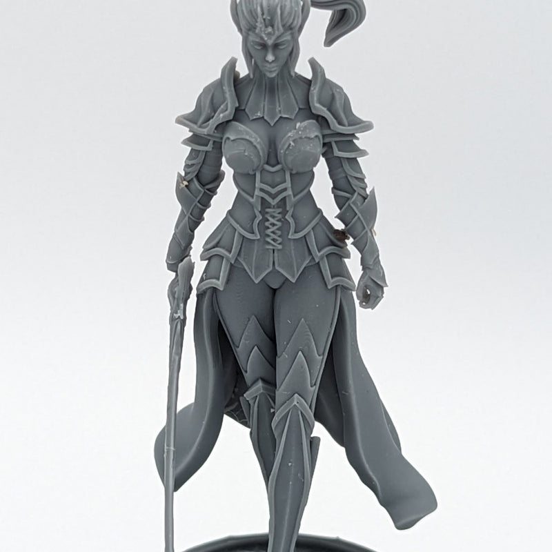 Paladin Warrior Lilith - Paladin Warrior - 75mm + 35mm Scale