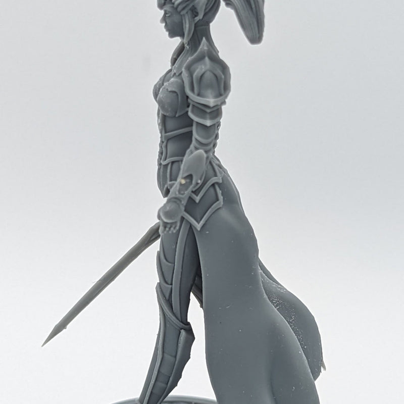 Paladin Warrior Lilith - Paladin Warrior - 75mm + 35mm Scale
