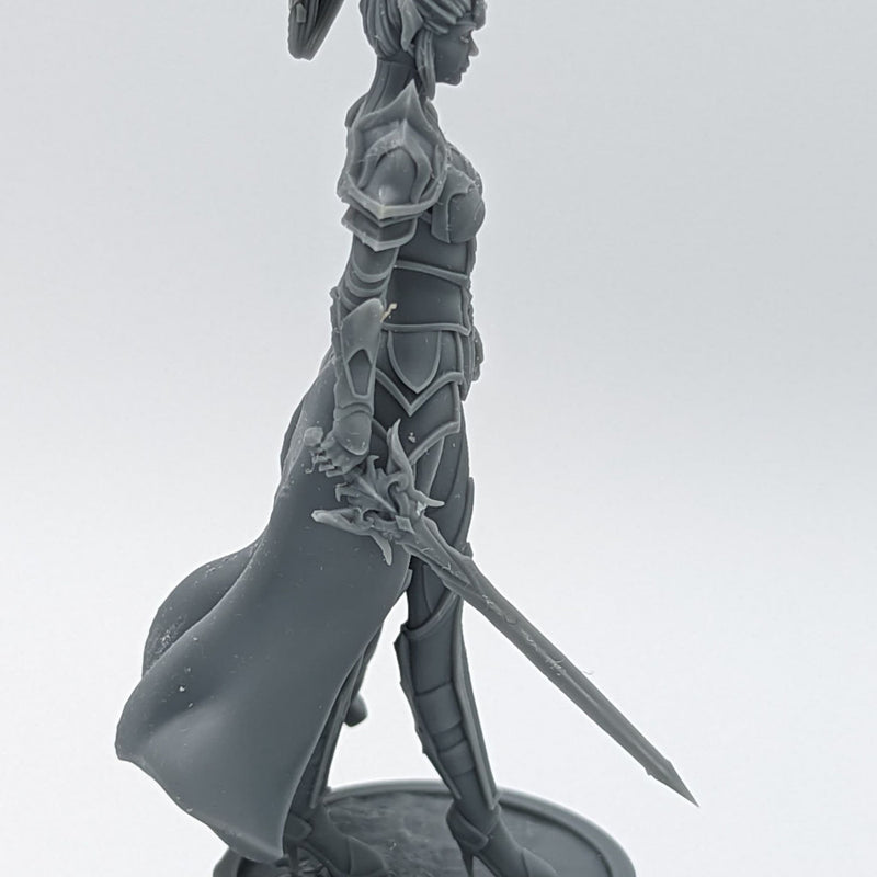 Paladin Warrior Lilith - Paladin Warrior - 75mm + 35mm Scale