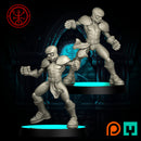 TORCHLIGHT "THE REGULAR PLAIN REGULARS" - Only-Games