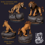 Kojo and Sora - Lions - STL only - Only-Games