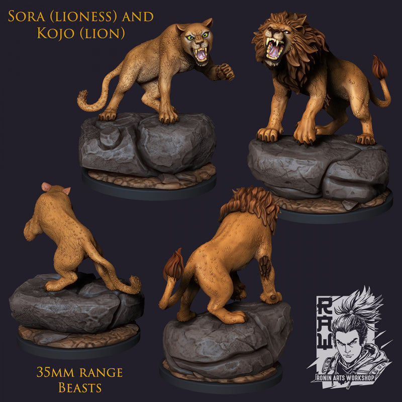 Kojo and Sora - Lions - STL only - Only-Games
