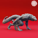 Lizardfolk Warband - Book of Beasts - Tabletop Miniatures (Pre-Supported)