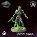 Lost Souls: Knight & Warrior