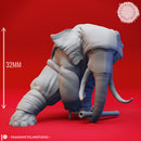 Loxodon Ninja - Tabletop Miniature (Pre-Supported)