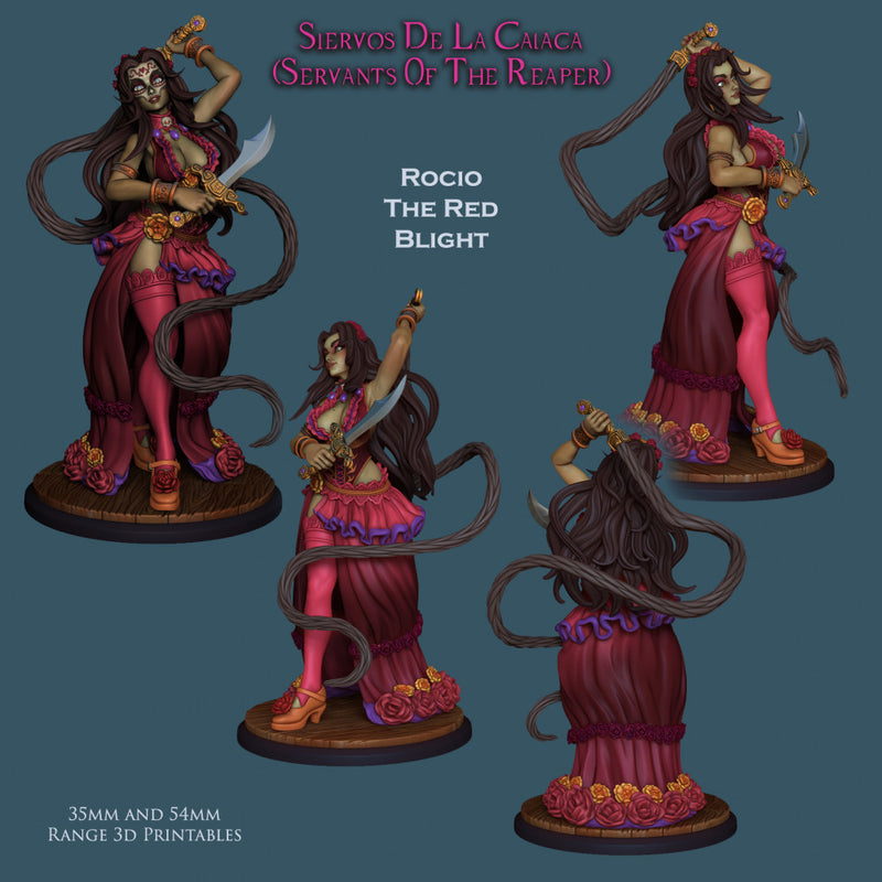 Rocio The Red Blight - Dia De Muertos Assassin - STL only - Only-Games
