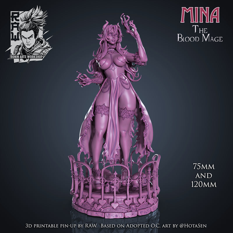 Mina The Bloodmage - 75mm and 120mm Pin Up - STL only - Only-Games