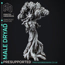 Dryad - Faywild Forest Spirit - PRESUPPORTED - 32mm scale