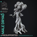 Dryad - Faywild Forest Spirit - PRESUPPORTED - 32mm scale
