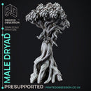 Dryad - Faywild Forest Spirit - PRESUPPORTED - 32mm scale