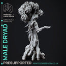 Dryad - Faywild Forest Spirit - PRESUPPORTED - 32mm scale