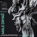 Dryad - Faywild Forest Spirit - PRESUPPORTED - 32mm scale