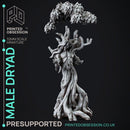 Dryad - Faywild Forest Spirit - PRESUPPORTED - 32mm scale