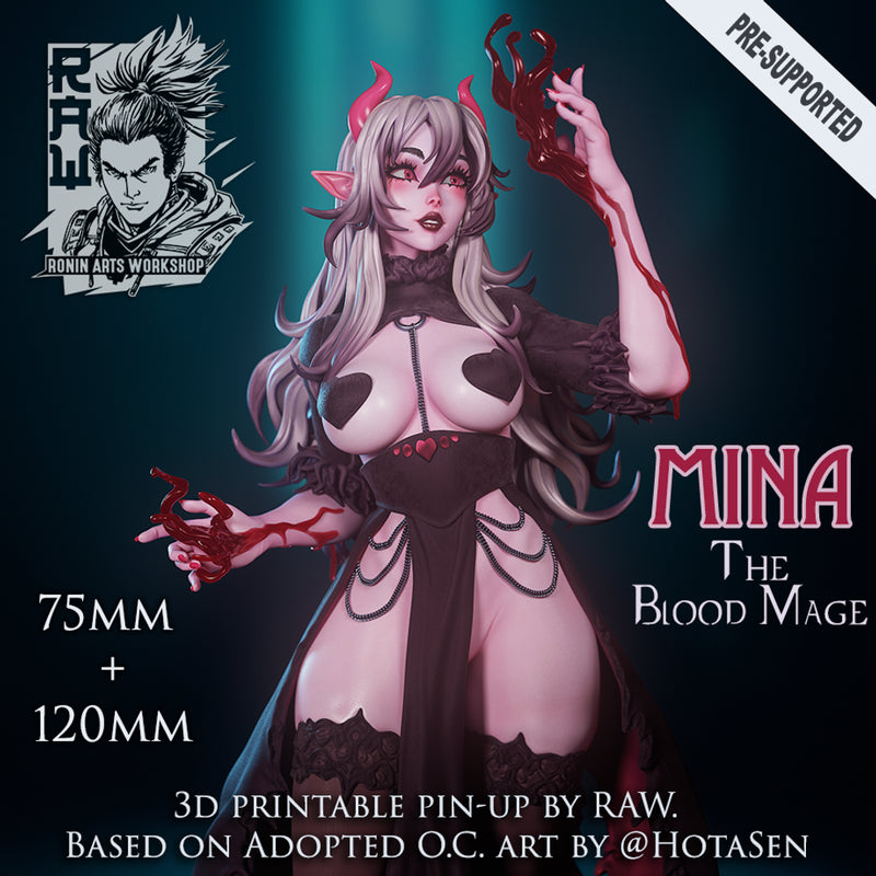 Mina The Bloodmage - 75mm and 120mm Pin Up - STL only - Only-Games