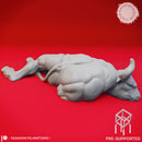 Defeated Minotaur - Book of Beasts - Tabletop Miniature (Pre-Supported)