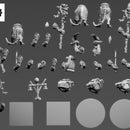 PRIEST RAT - MULTIPART - Only-Games